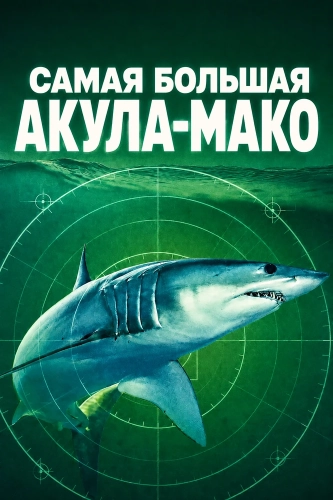 Самая большая акула-мако смотреть онлайн
