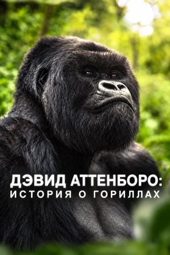 Дэвид Аттенборо: История о гориллах (2026) смотреть онлайн